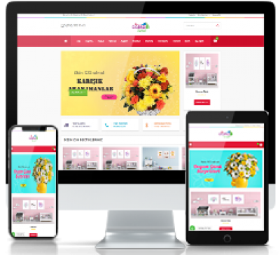 WEBSİTESİ HİZMETLERİ